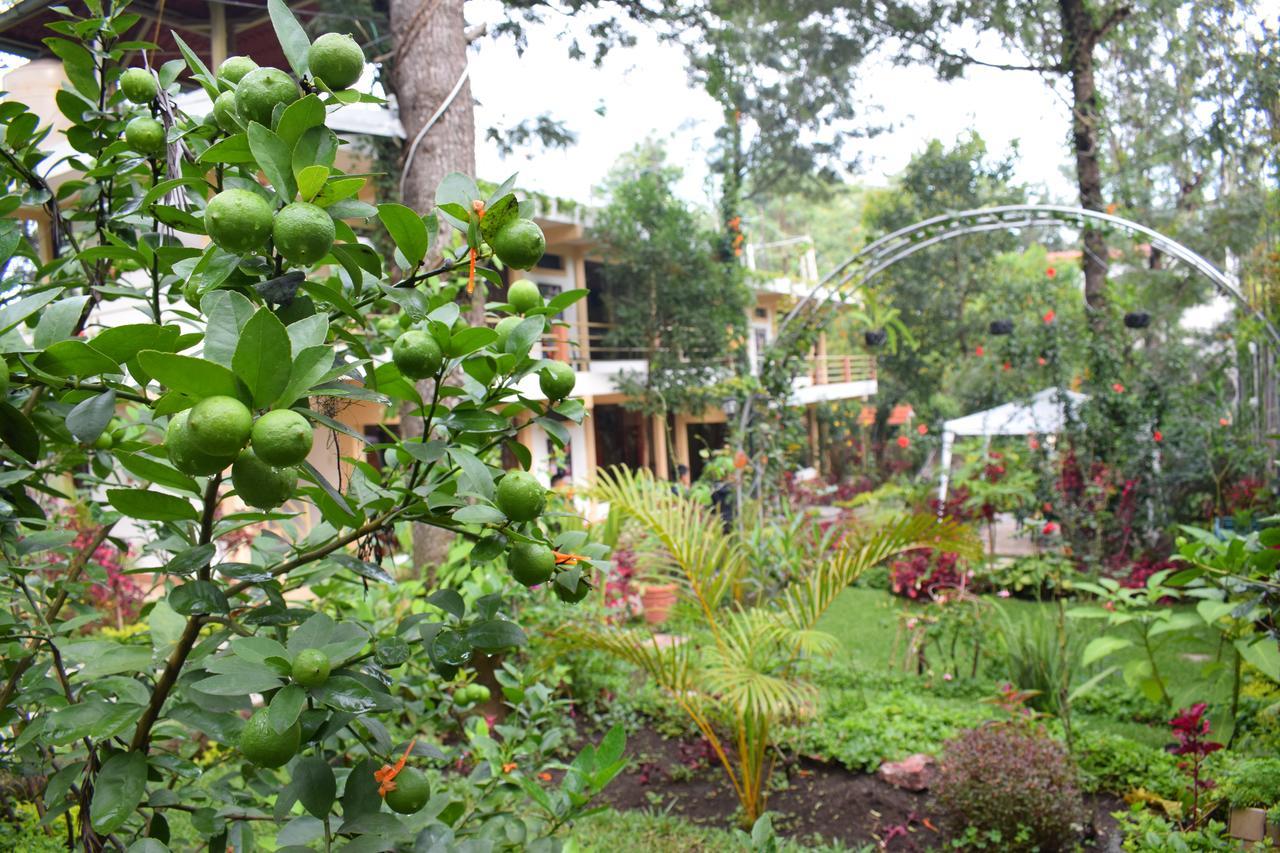 Pescador Hotel Ph Santiago Atitlan Exterior photo